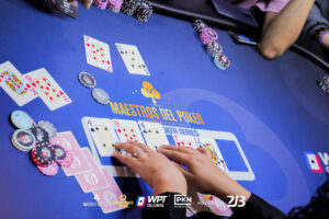 Main Event – WPS 1M GTZ – Día 1E – WPS 1 Millón de USD GTD – foto 246